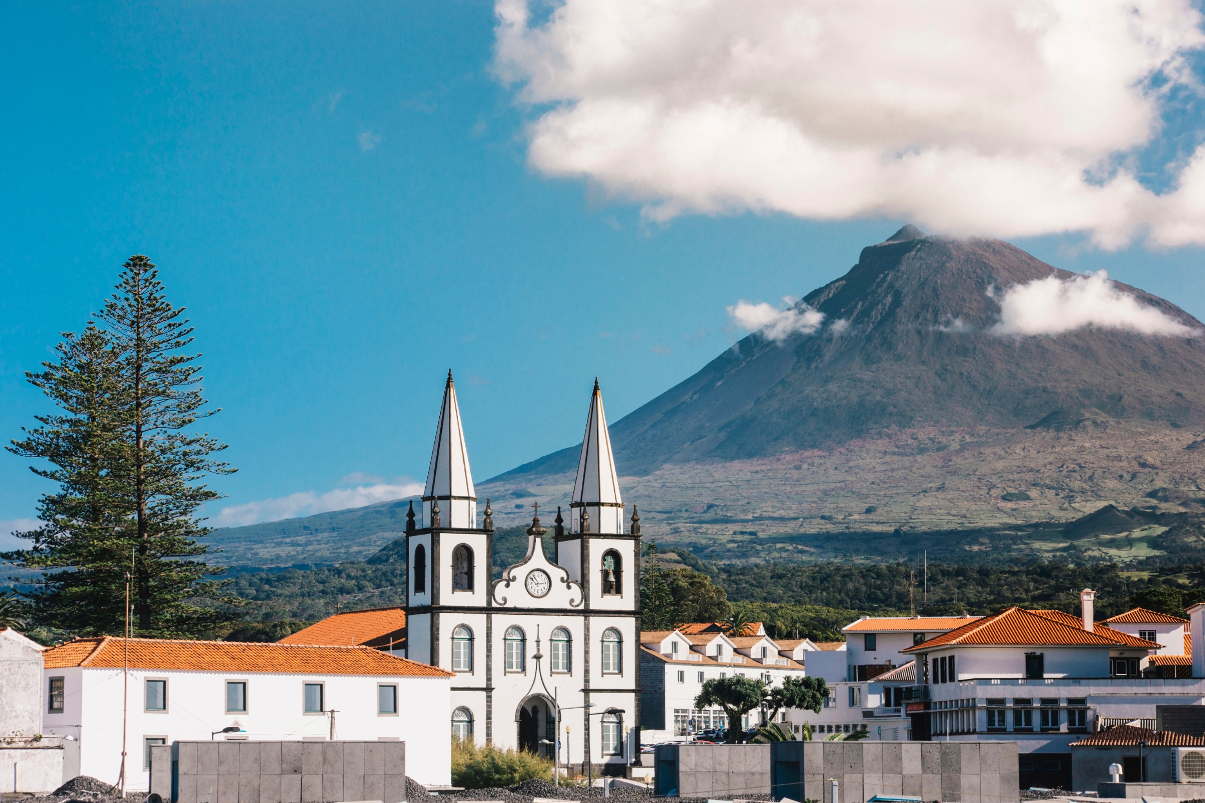 madalena (madalena do pico) 02.webp